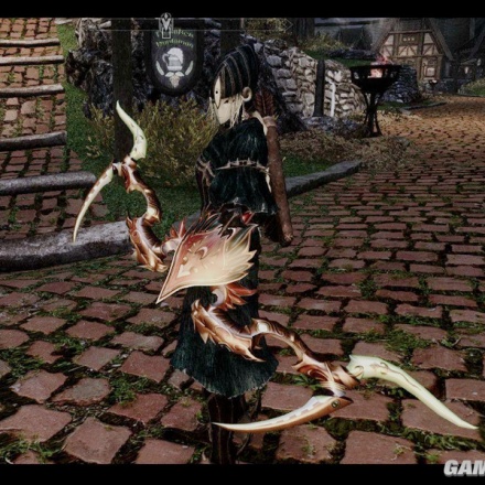 奎尔萨拉斯金弓